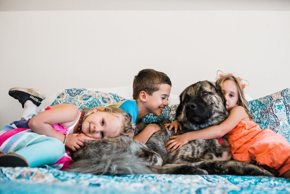 4 Tips for including your dog in your family photos / Charlottesville Family Photographer