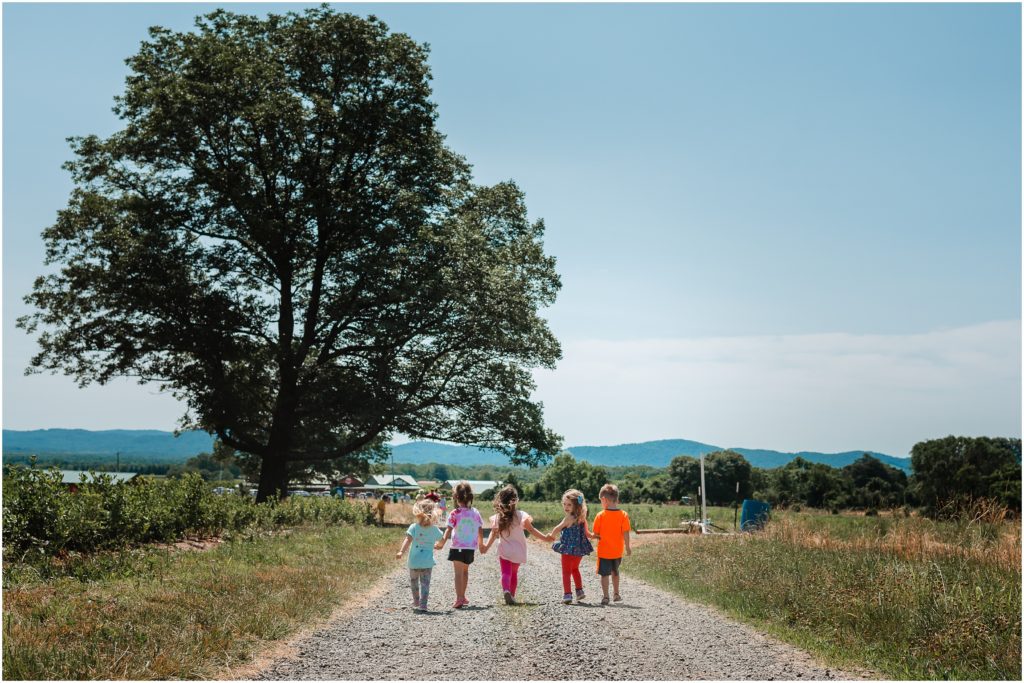orchard in charlottesville, activities to do with young kids in the summer