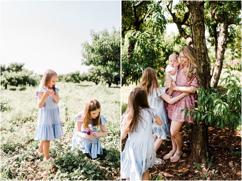 photographing families in full sun, orchard family photos with three kids