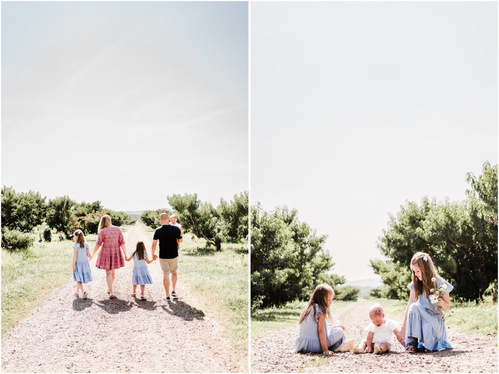 tips and tricks for photographing in full sun, family photos at an orchard