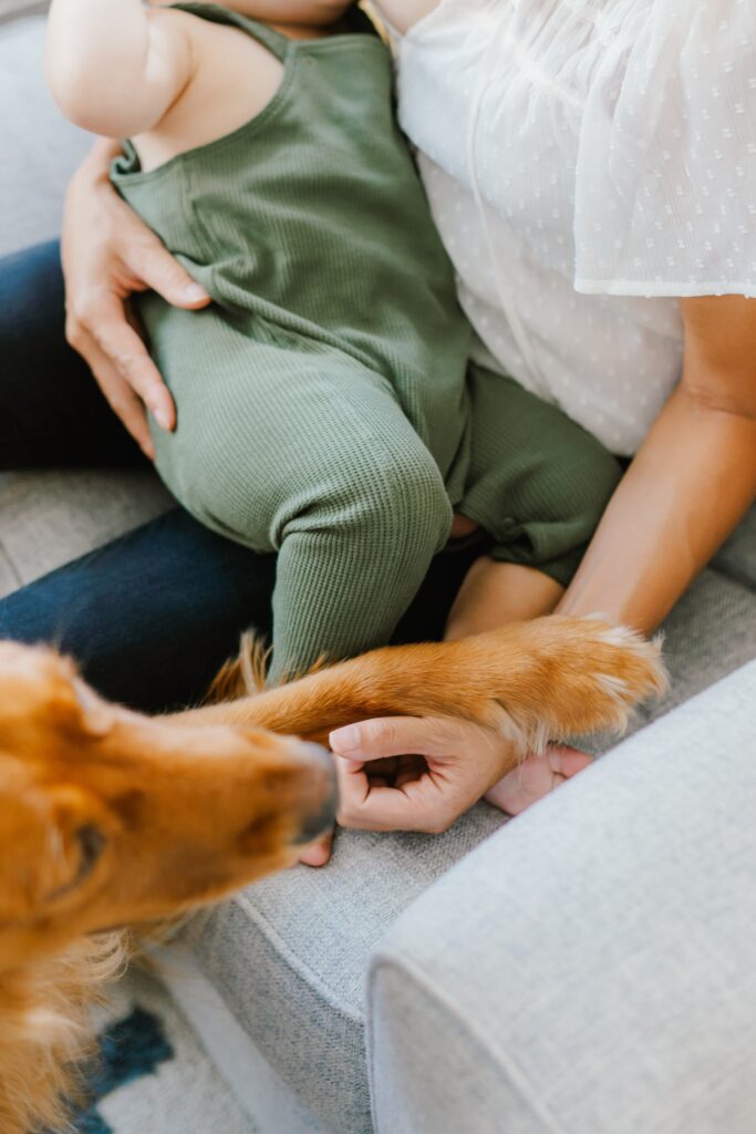 family photos with toddler and dog at home